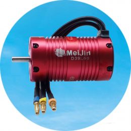 D39L69 (no sense, sense, inner rotor, structural design)